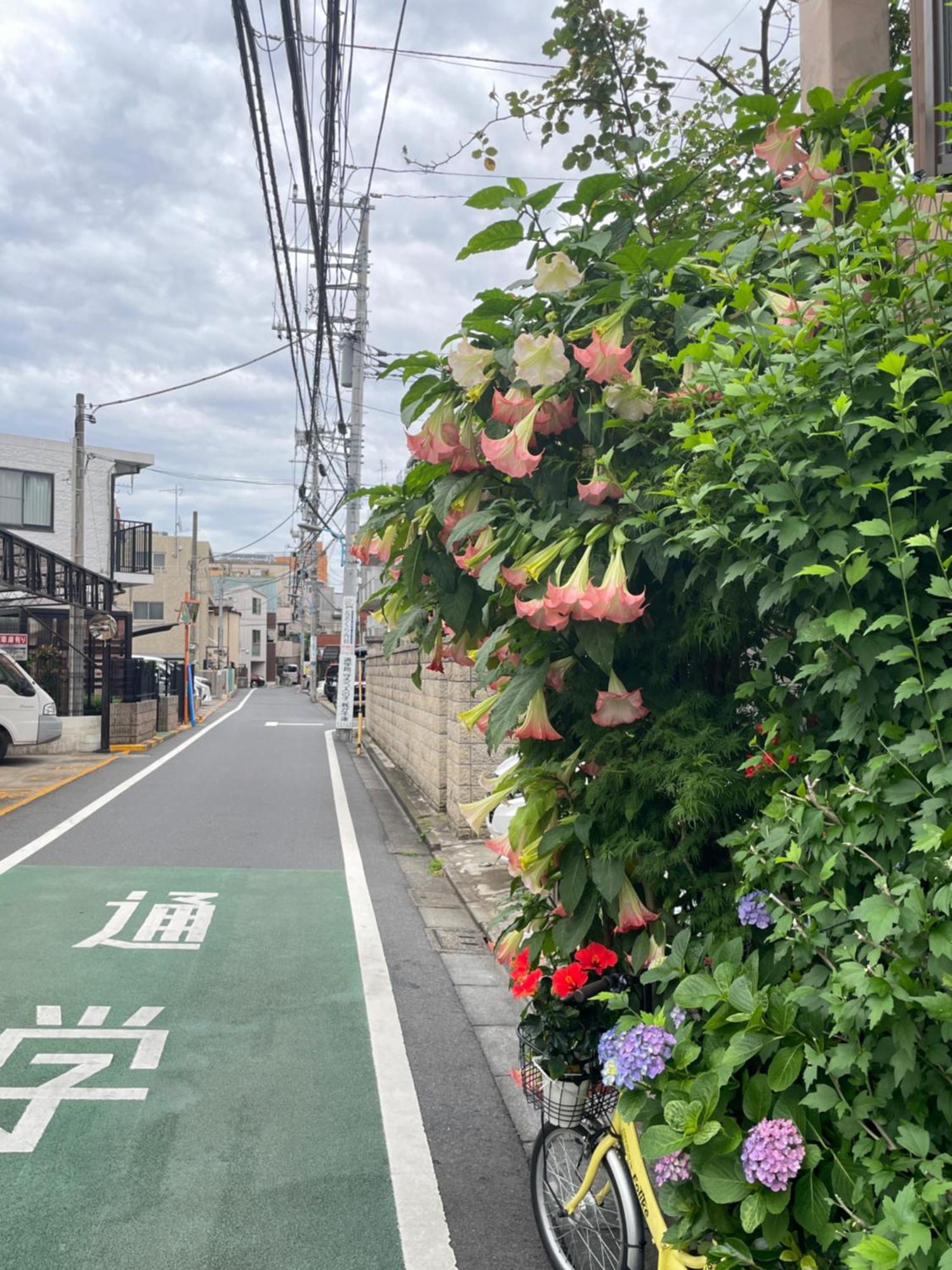 新宿庭院の屋-Shinjuku Garden Home -28 Square Meters King Size Bed Garden Room Tokio Buitenkant foto