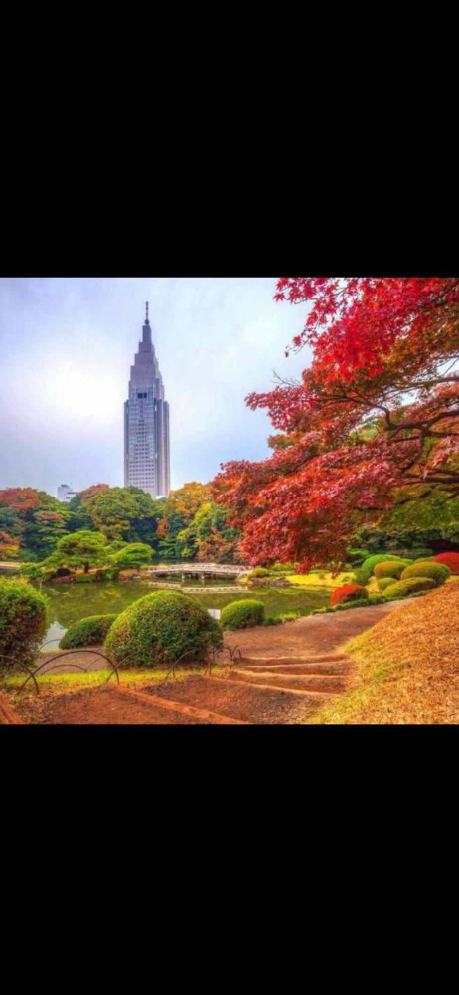 新宿庭院の屋-Shinjuku Garden Home -28 Square Meters King Size Bed Garden Room Tokio Buitenkant foto